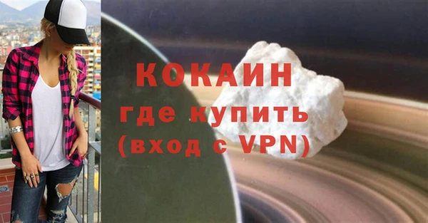 стаф Алзамай
