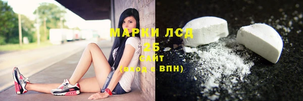 стаф Алзамай