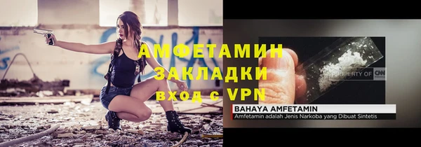стаф Алзамай