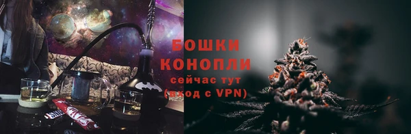 шишки Алексин