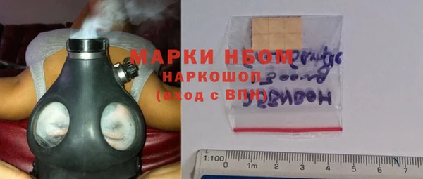 стаф Алзамай