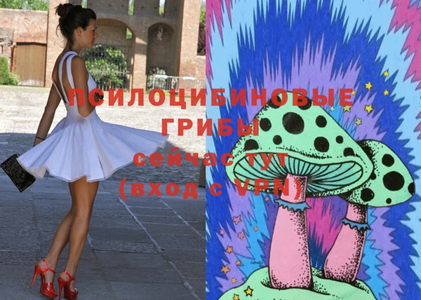 стаф Алзамай