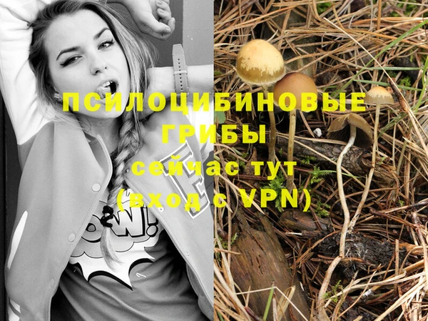 тгк Алексеевка