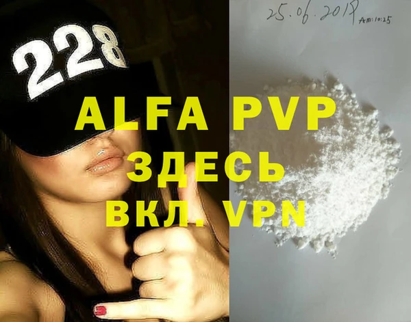 стаф Алзамай