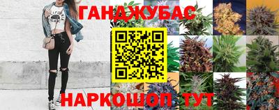ПСИЛОЦИБИНОВЫЕ ГРИБЫ Вязьма