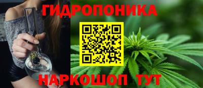 ПСИЛОЦИБИНОВЫЕ ГРИБЫ Вязьма