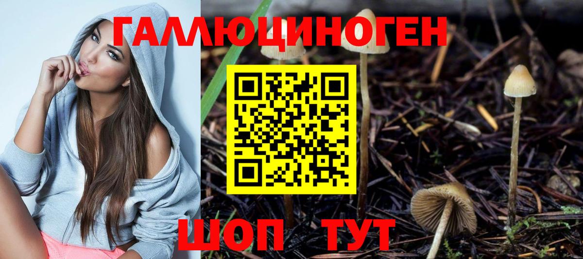 Галлюциногенные грибы мухоморы Петровск