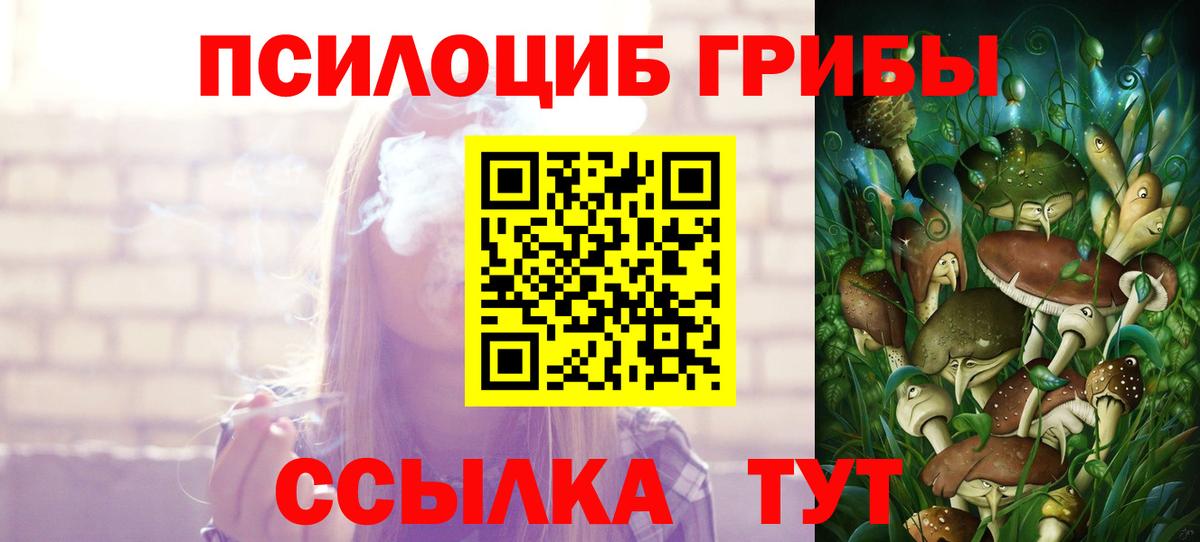 Псилоцибиновые грибы мухоморы  Вход с VPN  Петровск  Галлюциногенные грибы мухоморы 